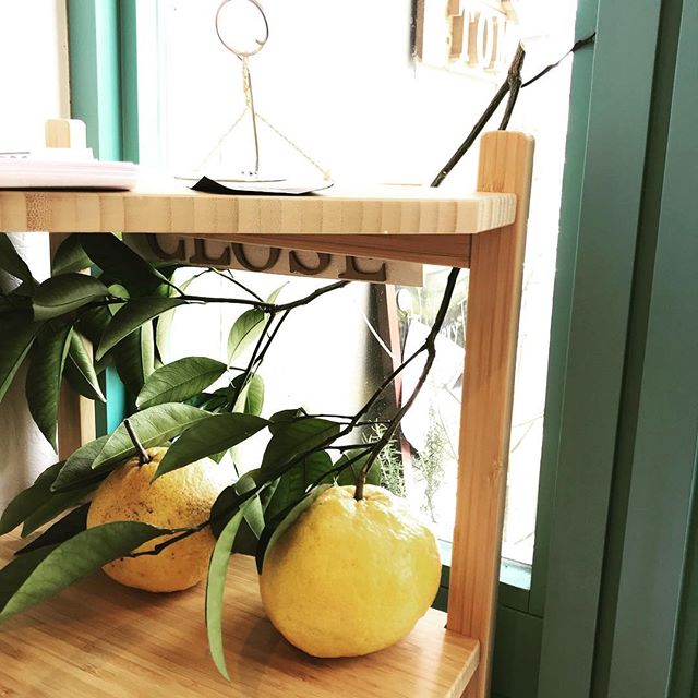 ベーカリートムです。お客様から頂いた、枝ごとの何かのみかん。すっぱいそうですが、我が家の子供は喜びそうです。柑橘のデニッシュも美味しそうだなと勝手に思っております、、。**午後になりましたが、スコーンが焼きたてです。食パンやバタールなどもまだ揃っています!#bakerytom #ベーカリートム #パン屋#パン#高津 #溝の口#川崎市#高津区#みかん